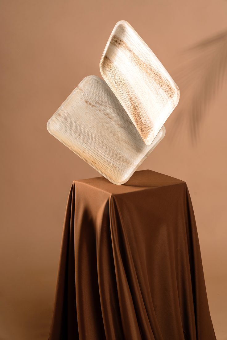 our magic disposable palm leaf plates #palmleaf…